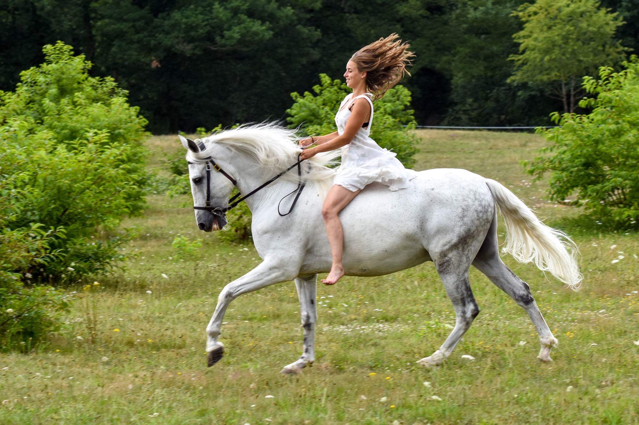 balade à cheval pendant un evjf dans une propriété en Sologne